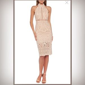 Bardot Hanna Lace Midi Dress